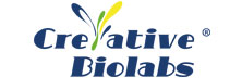 Creative Biolabs - Top Image Analysis Consulting/Services Companies Creative Biolabs